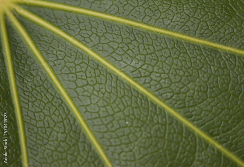 texture
