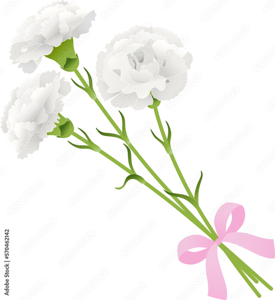 Obraz premium カーネーションの花束_白_ベクターイラスト