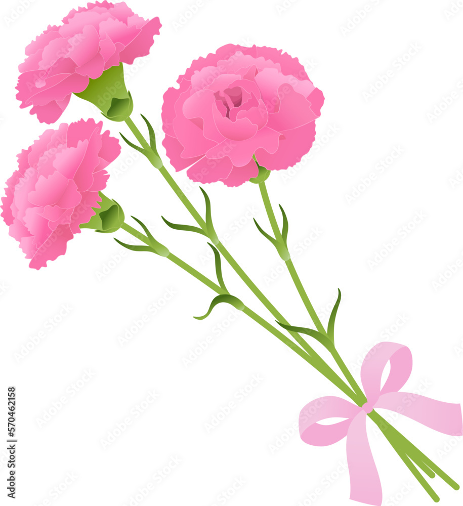 Fototapeta premium カーネーションの花束_ピンク_ベクターイラスト