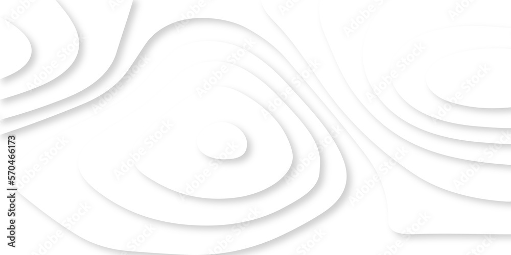 Abstract Luxury paper cut background, Abstract decoration, white pattern lines gradients, 3d Vector illustration, topographic canyon map light relief texture, curved layers. Abstract Luxury paper cut background, Abstract decoration, white pattern lines gradients, 3d Vector illustration, topographic canyon map light relief texture, curved layers.