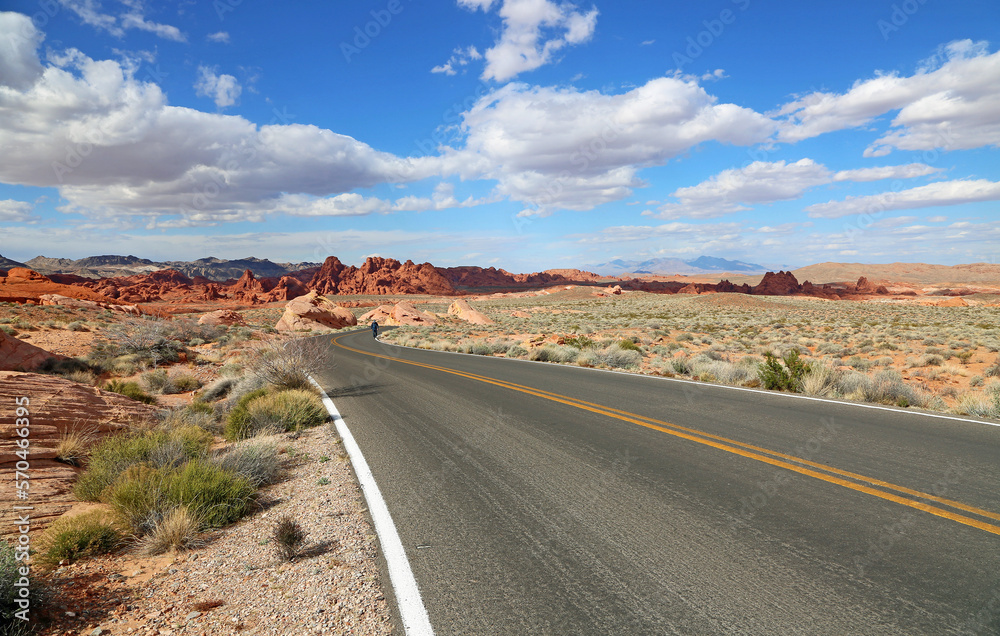 On the road in Valley of Fire State Park, Nevada