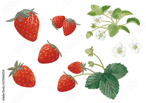 strawberry