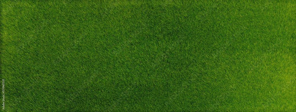 green grass background as big banner size.