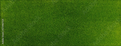 green grass background as big banner size.