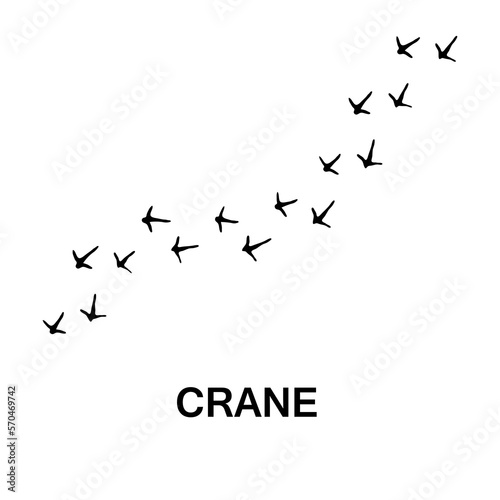 crane foot print, vector animal paw print illustration on white background  © rahul