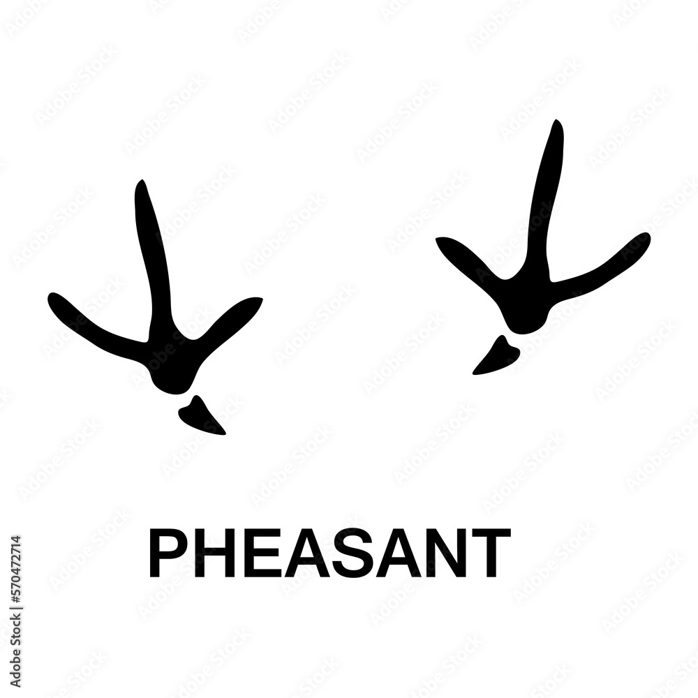 Obraz premium pheasant foot print, animal paw print vector trendy style illustration on white background..eps