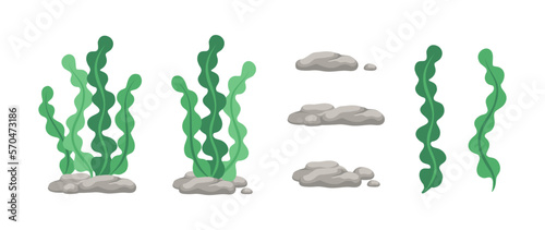 Vector designer elements set collection of green algae, sea grass, underwater seaweed plants and stones.