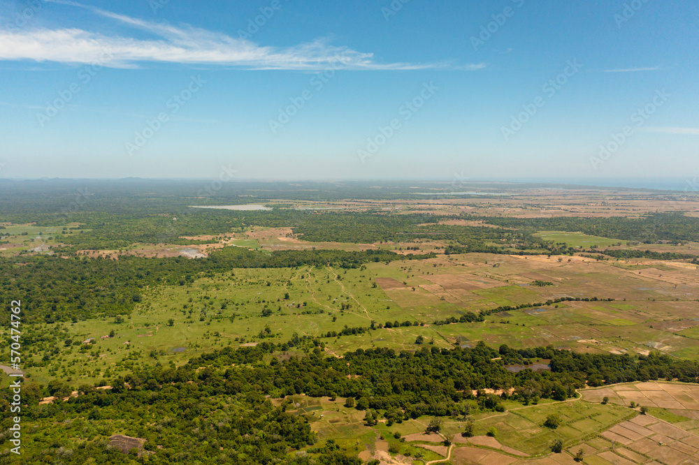 Agricultural land and rice fields among tropical vegetation. Sri Lanka. Rural landscape.