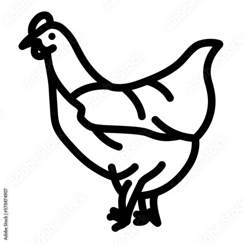 chicken