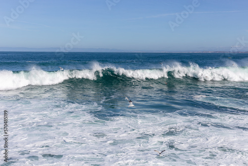 Waves on the Pacific ocean coast © Polina Korchagina