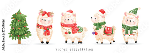 Christmas llama banner