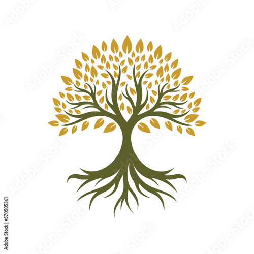 Tree logo images design