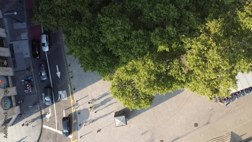 a aerial view drone shot of the park in the area of wall street in the island of manhattan in new york city, in the united states of america nyc a aerial view drone shot of the park in the area of wall street in the island of manhattan in new york city, in the united states of america nyc