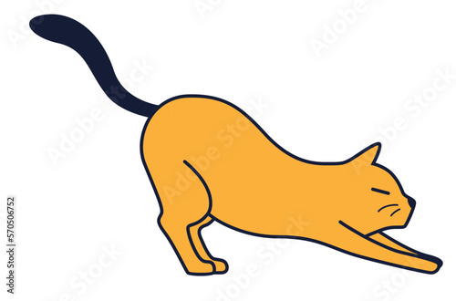 orange cat with dark tail stretches his back