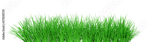 Green grass isolated on transparent background, 3d render illustration.