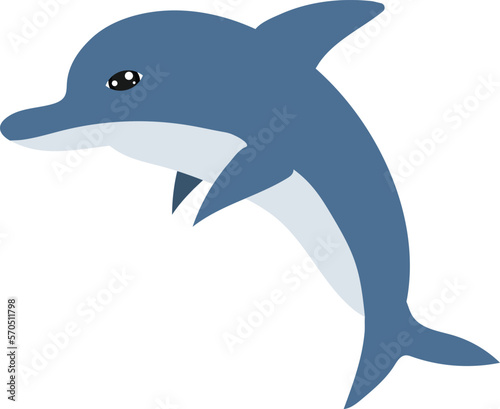 dolphin vector image or clipart