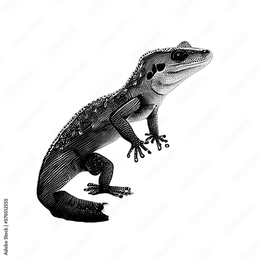 Obraz premium Lizard gecko illustration artwork vector graphic, cute geckos vectorized