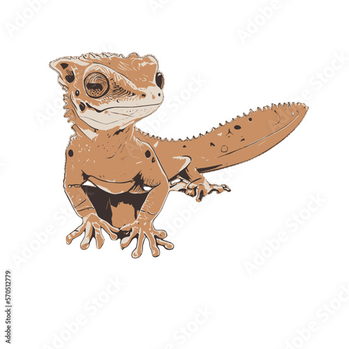 Lizard gecko illustration artwork vector graphic  cute geckos vectorized