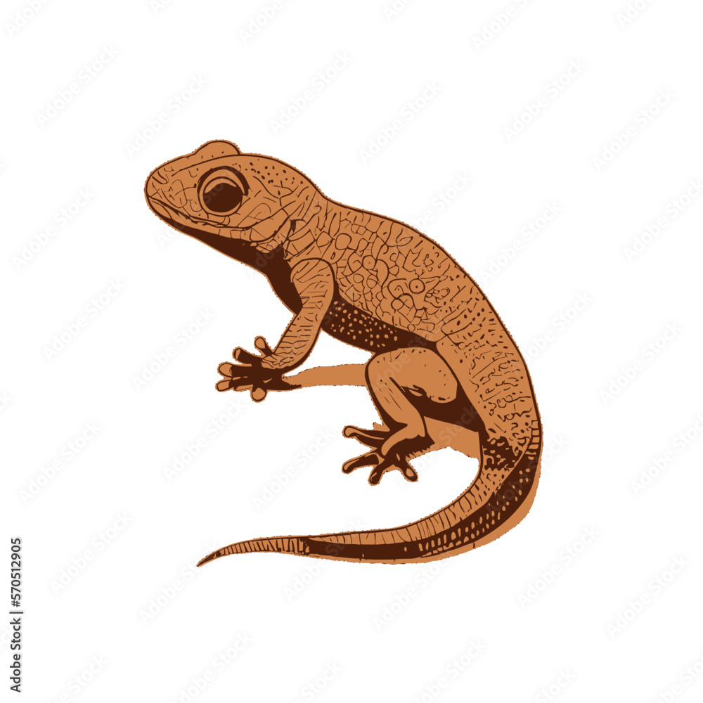 Obraz premium Lizard gecko illustration artwork vector graphic, cute geckos vectorized