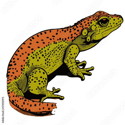 Lizard gecko illustration artwork vector graphic  cute geckos vectorized