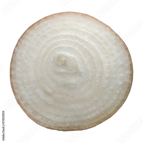 The slice of white onion.
