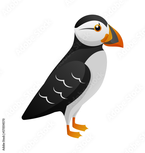 Atlantic Puffin cartoon character . Vector .