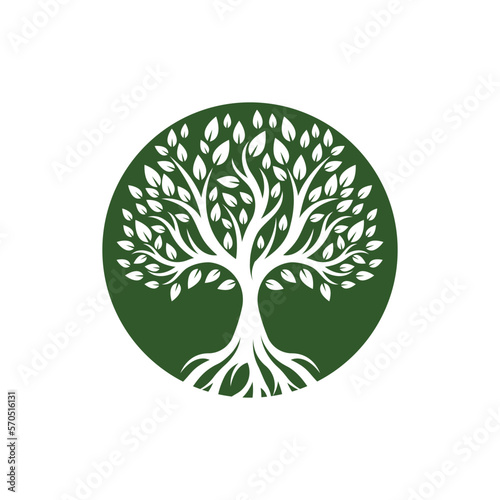 Tree logo images design
