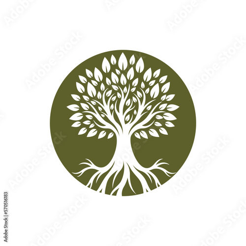Tree logo images design