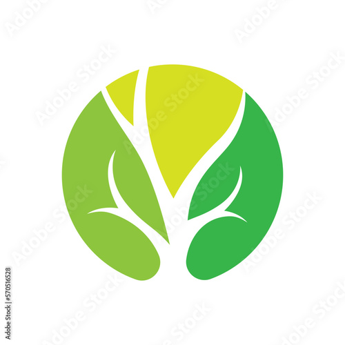 Tree logo images design