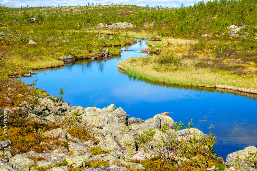 Meandering stream in a wild country Meandering stream in a wild country
