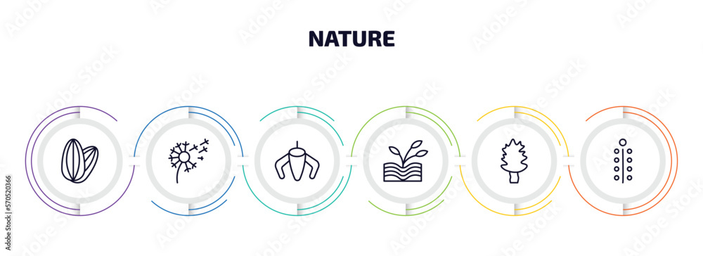 nature infographic element with outline icons and 6 step or option. nature icons such as almond, dandelion, ylang-ylang, plant growing on book, cucumber tree tree, mimosa vector. nature infographic element with outline icons and 6 step or option. nature icons such as almond, dandelion, ylang-ylang, plant growing on book, cucumber tree tree, mimosa vector.