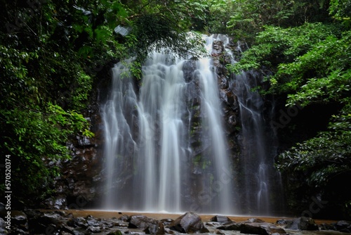 waterfall in the forest