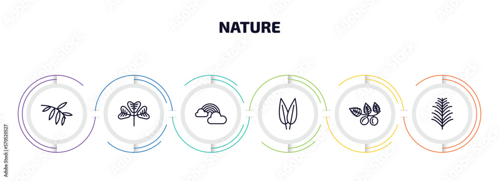 nature infographic element with outline icons and 6 step or option. nature icons such as black willow, trifoliate ternate, rainbow behind a cloud, lemon leaf, briar leaf, yew leaf vector.