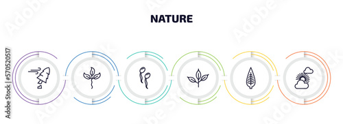 nature infographic element with outline icons and 6 step or option. nature icons such as damaged, cuspicate, fertilize clinic, cherry leaf, lanceolate, sunny protic vector.