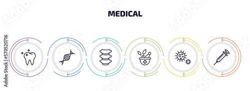 medical infographic element with outline icons and 6 step or option. medical icons such as molar, medical chain of dna, vertebra, phary tool, bacteria, syringe with medicine vector.
