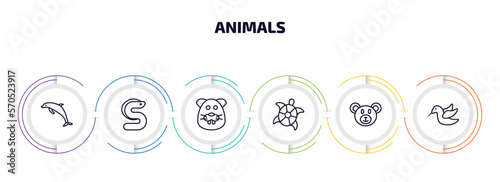 animals infographic element with outline icons and 6 step or option. animals icons such as dolphin jumping, eel, beaver, turtle, bear, colibri vector.