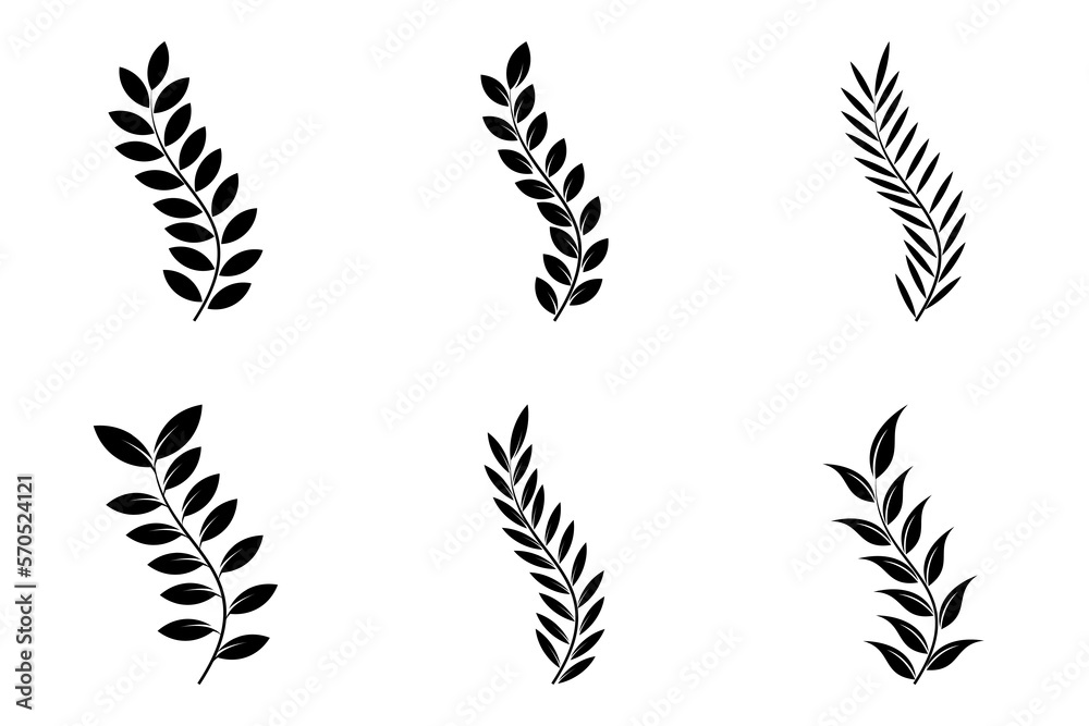 Set of branch olive tree. Black and white outline silhouette. Vector illustration