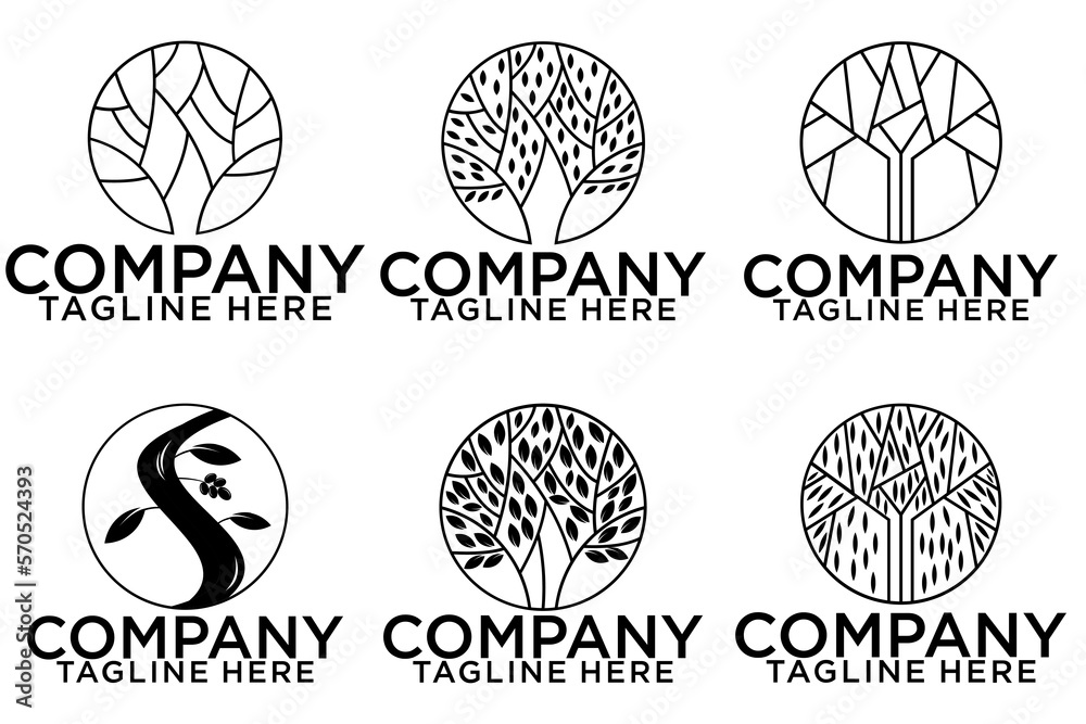 Set of branch olive tree. Black and white outline silhouette. Vector illustration