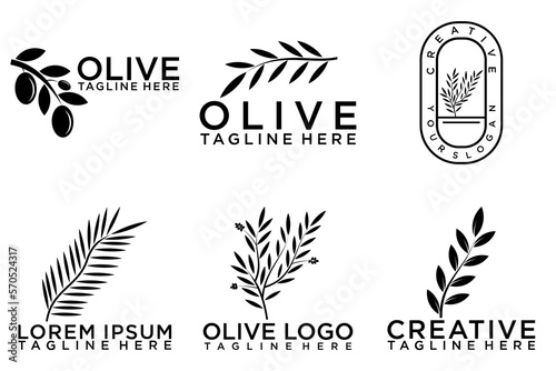 Set of branch olive tree. Black and white outline silhouette. Vector illustration