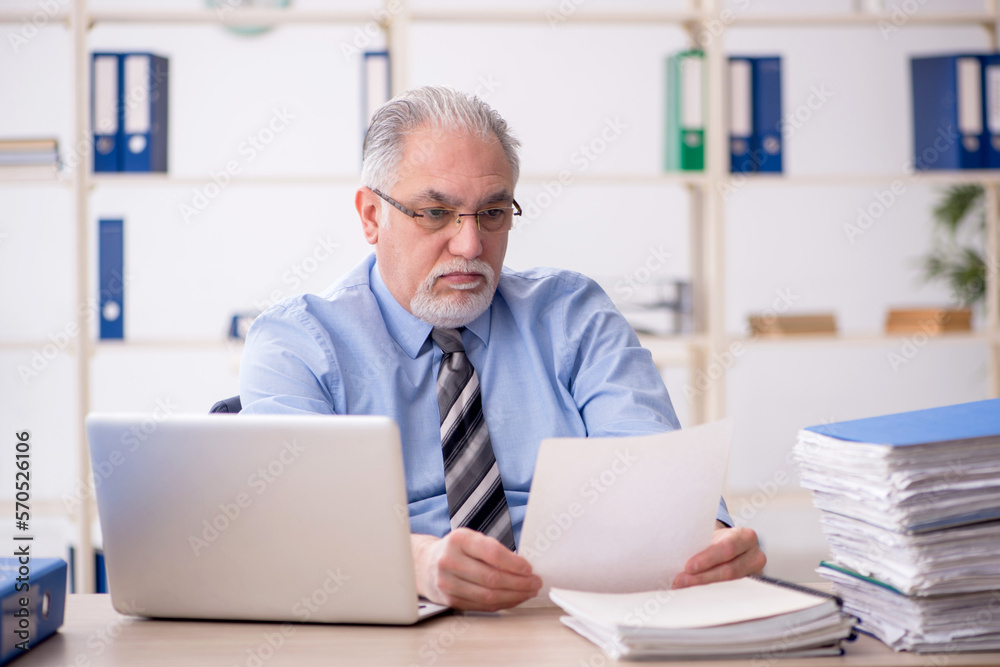 Old male employee working in the office Old male employee working in the office