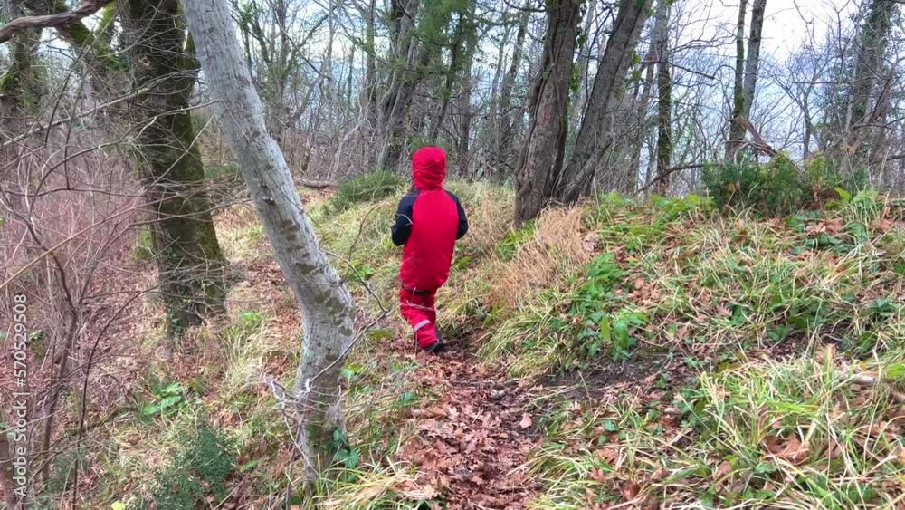 A boy walks on fallen leaves of trees and green moss on the background of the Caucasus Mountains. Oak foliage. A child's walk through the subtropical forest on the Black Sea coast in Russia. A boy walks on fallen leaves of trees and green moss on the background of the Caucasus Mountains. Oak foliage. A child's walk through the subtropical forest on the Black Sea coast in Russia.