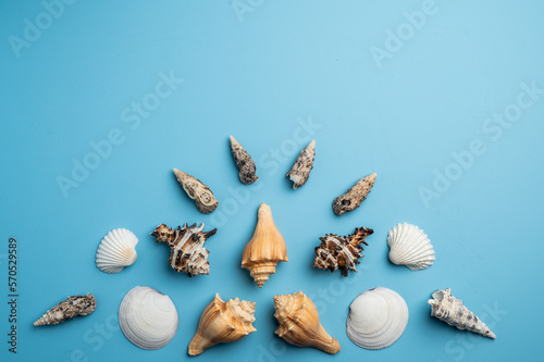 Ocean inspired flat lay composed of sea shells and star fish on blue photo