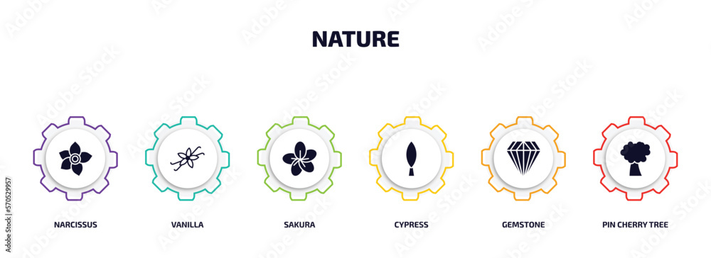 nature infographic element with filled icons and 6 step or option. nature icons such as narcissus, vanilla, sakura, cypress, gemstone, pin cherry tree vector. nature infographic element with filled icons and 6 step or option. nature icons such as narcissus, vanilla, sakura, cypress, gemstone, pin cherry tree vector.