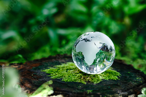 Glass globe in the green forest with sunlight for the Environment, save the world, earth day, and conservation Concepts..Environmental Care. Sustainable business or green company Concept.