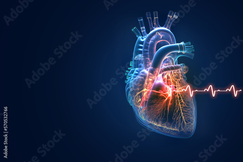 Fototapeta Human heart with cardiogram for medical heart health care background, Generative