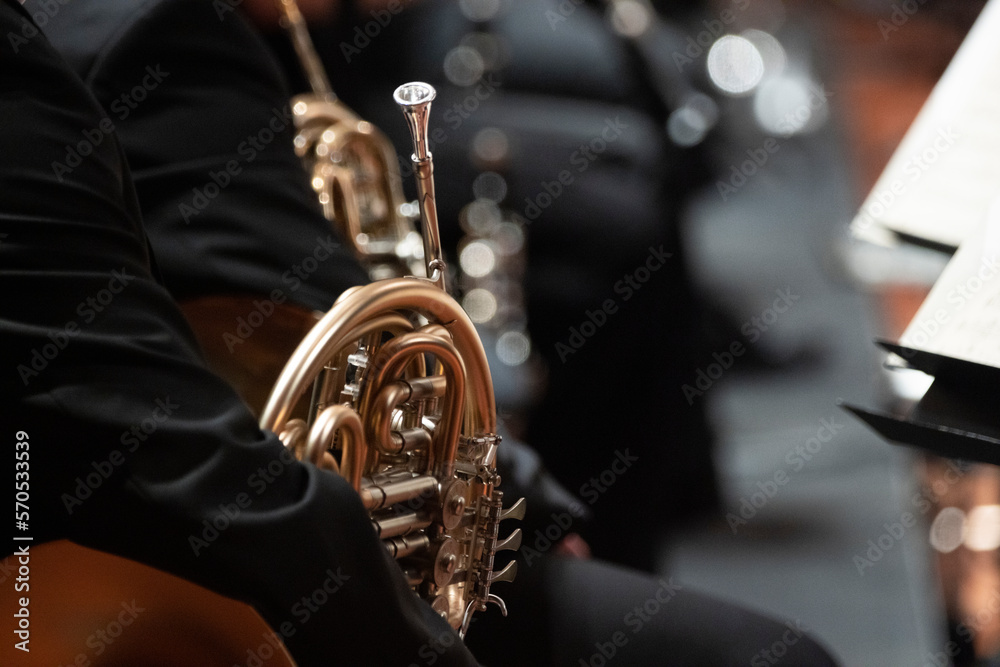 Obraz premium French horn players counting endless rests and waiting for their turn to shine