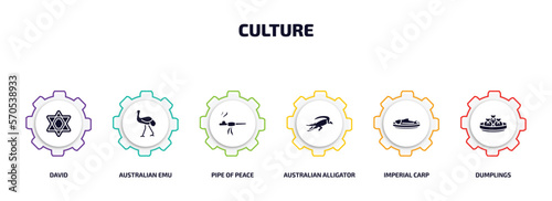 culture infographic element with filled icons and 6 step or option. culture icons such as david, australian emu, pipe of peace, australian alligator, imperial carp, dumplings vector.