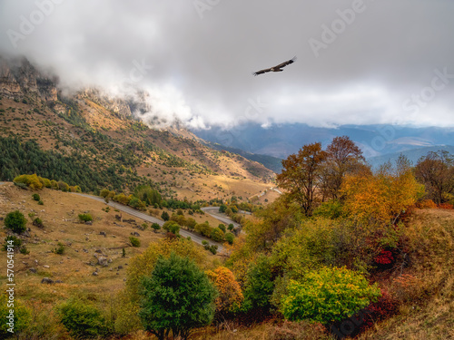 Soft focus. Highway through a mountain pass. Hawk over the mountain. Wonderful  scenery with rocks and mountains in dense low clouds. Atmospheric highlands landscape with mountain tops under clouds.