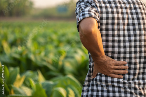 Injuries or Illnesses, that can happen to farmers while working. Man is using his hand to cover over waist because of hurt, pain or feeling ill.