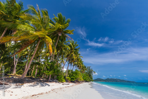 Fototapeta Naklejka Na Ścianę i Meble -  Sandy beach at tropical paradise with palm trees on sea shore and turquoise ocean, Samui, Thailand